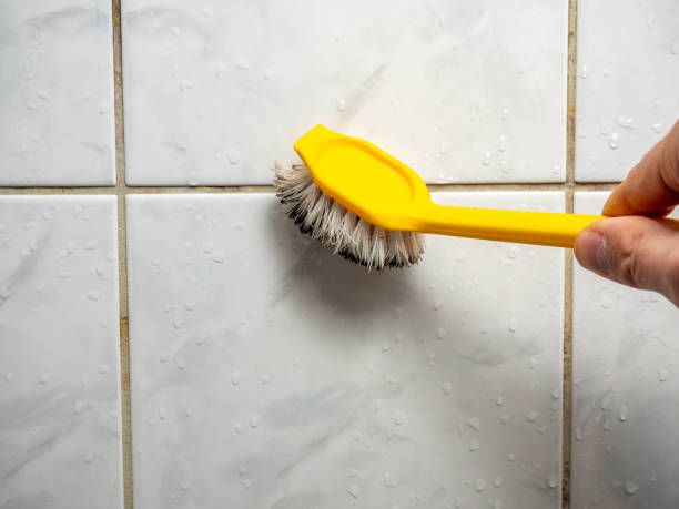 Best Health and Safety Mold Remediation in Burton, MI