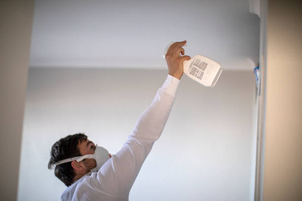 Best Insurance-Related Mold Remediation in Burton, MI