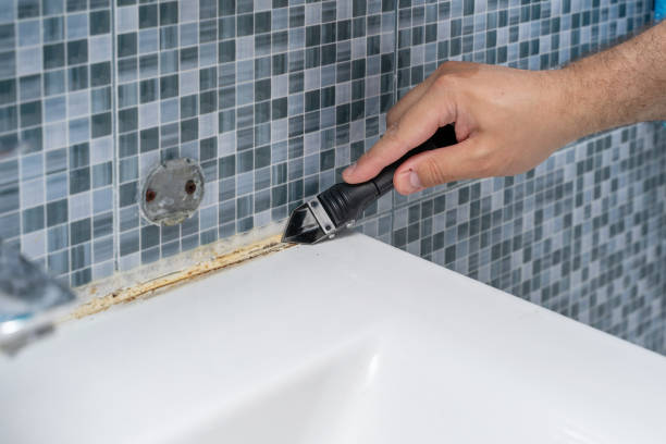 Best Post-Flood Mold Remediation in Burton, MI